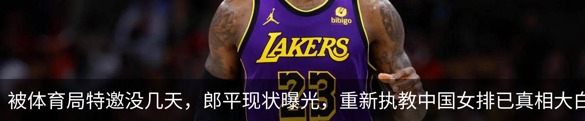 最新动态